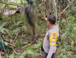 Seminggu Pergi Dari Rumah, Gadis di Halut Ini Ditemukan Meninggal Gantung Diri