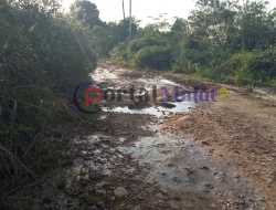 Jalan Hai-Air Kalimat Proyek PUPR Taliabu Yang Diduga Fiktif