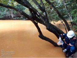 Ini Alasan Pemerintah Pusat Ambil Alih Kasus Pencemaran Sungai Sagea