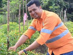 Program PPM Perusahan Dikeluhkan, Begini Tanggapan Positif PT NHM