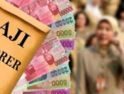 BPKAD Bayar Gaji Guru Honor di Pemprov Maluku Utara