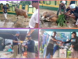 Hari Raya Idul Adha, MSL Maluku Utara Sembelih Satu Ekor Sapi