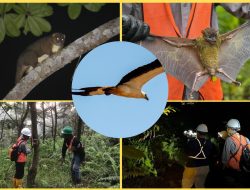 Jaga Warisan Alam Obi! Harita Nickel Lestarikan Flora Fauna Endemik lewat Pemantauan dan Edukasi Karyawan