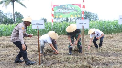 Dukung Ketahanan Pangan, Pemda Halut Hadiri Penanaman Jagung Serentak Kuartal III