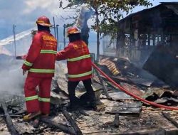 Sepanjang Tahun 2025 Kebakaran di Kota Ternate Meningkat