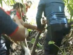 Damkar Ternate Semakin Diandalkan, Terbanyak Tangani Kasus Non Kebakaran