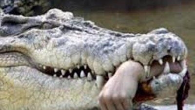 Diduga Diterkam Buaya, Seorang Warga Gitaraja Dalam Pencarian
