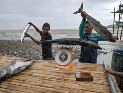 Dari Perahu ke Cold Storage: Langkah Nelayan Soligi Menguatkan Ekonomi Desa