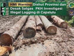 HMI Warning Dishut Malut dan Desak Satgas PKH Investigasi Illegal Logging di Capalulu