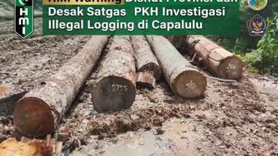 HMI Warning Dishut Malut dan Desak Satgas PKH Investigasi Illegal Logging di Capalulu