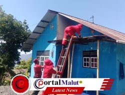 Aksi Heroik Damkar Ternate saat Evakuasi Sarang Tawon di Rumah Warga